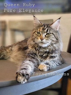 Ruby one of our Retired Queens