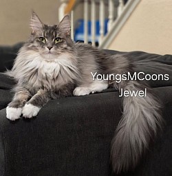 Jewel one of our Queens