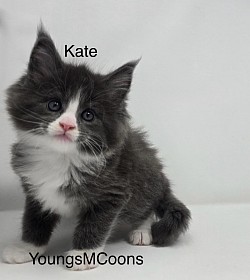 Kate Female Reserved