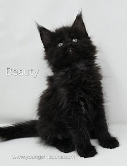 Beauty Female Reserved