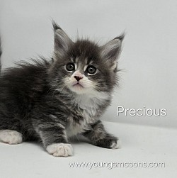 Precious Female Reserved