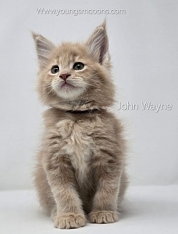 John Wayne Male Reserved
