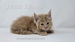 Jesse James Male Available