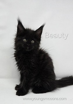 Beauty Female Reserved