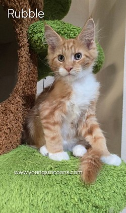 Rubble Male Reserved