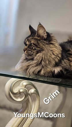 Grim Resting