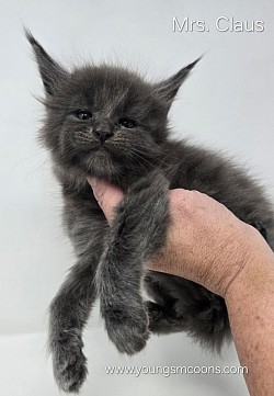 Mrs. Claus Female Reserved