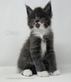 Claus Male Reserved
