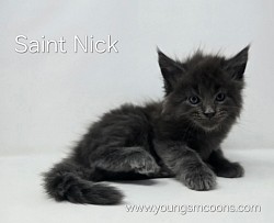 Saint Nick Male Reserved