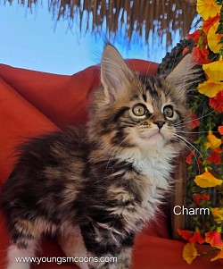 Charm Female Reserved