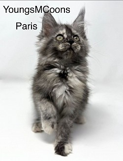 Paris one of our Future Queens