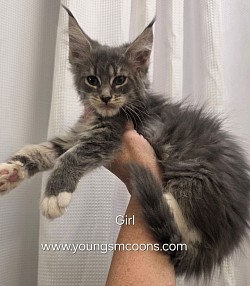 Divine Girl Available